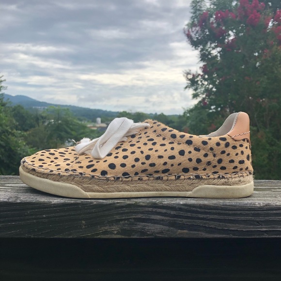 Dolce Vita Madox Sneakers in Leopard - Picture 5 of 7